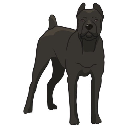 SIGNMISSION Cane Corso Dog Decal, Dog Lover Decor Vinyl Sticker D-12-Cane Corso